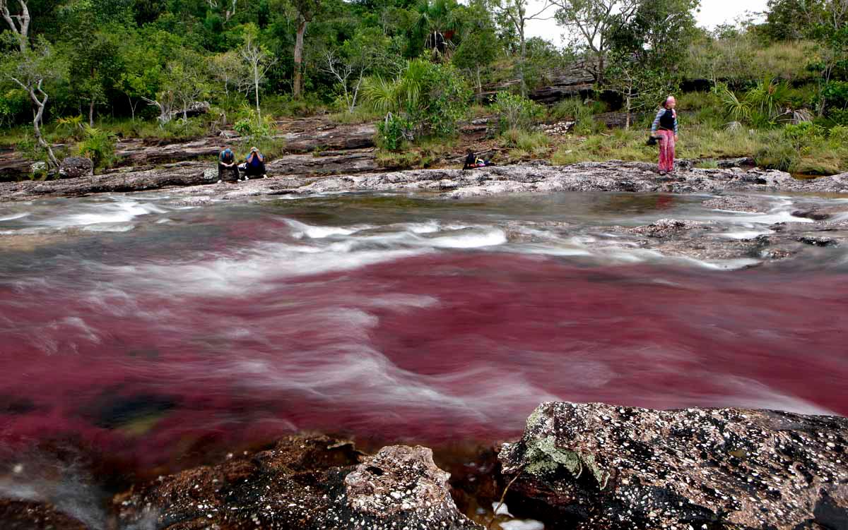 774303_448372268549279_1579865318_o