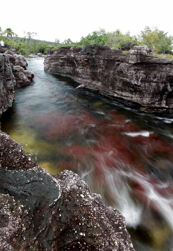 774309_448372115215961_613032611_o