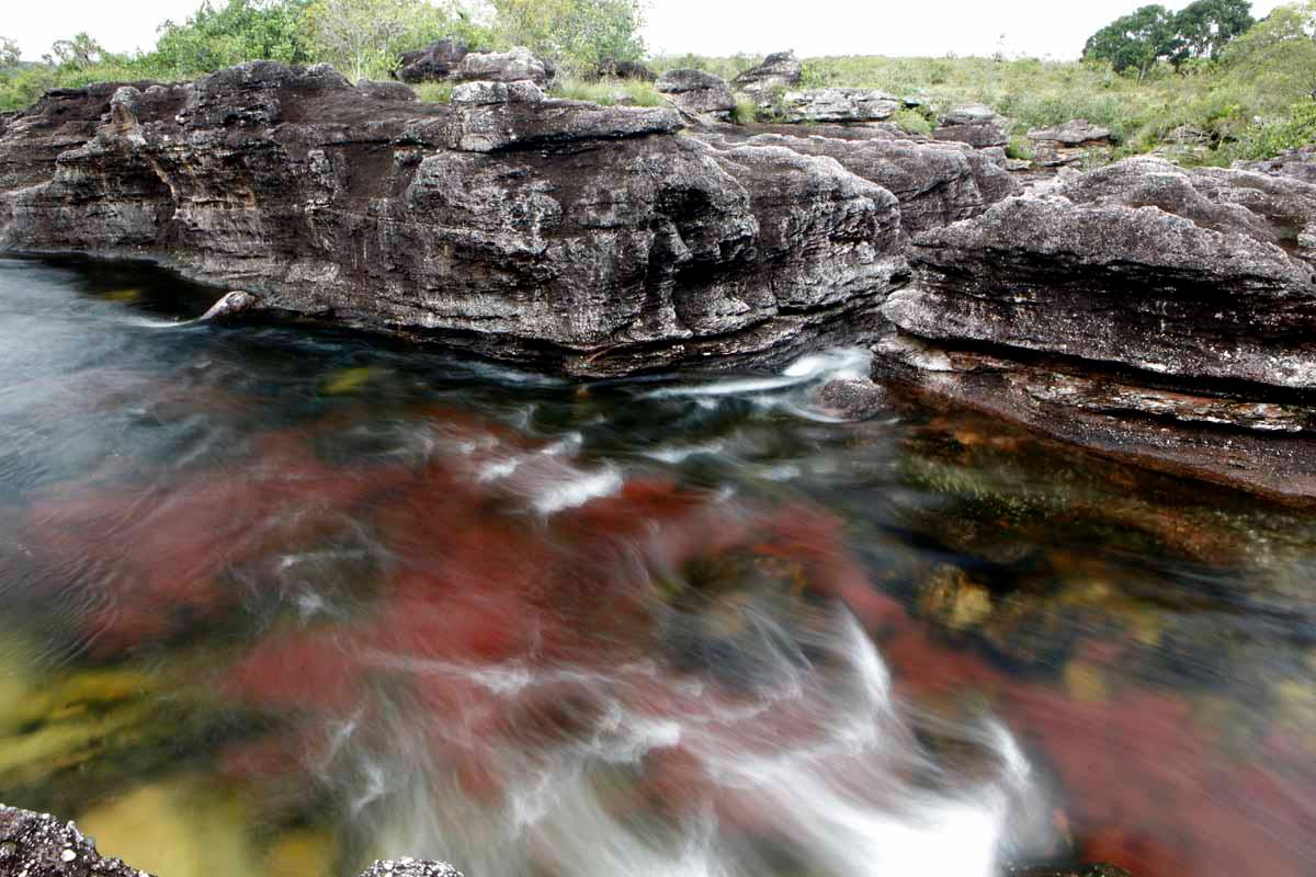 774832_448372025215970_2118614362_o